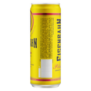 Cerveja Pilsen Puro Malte Eisenbahn Lata 350ml